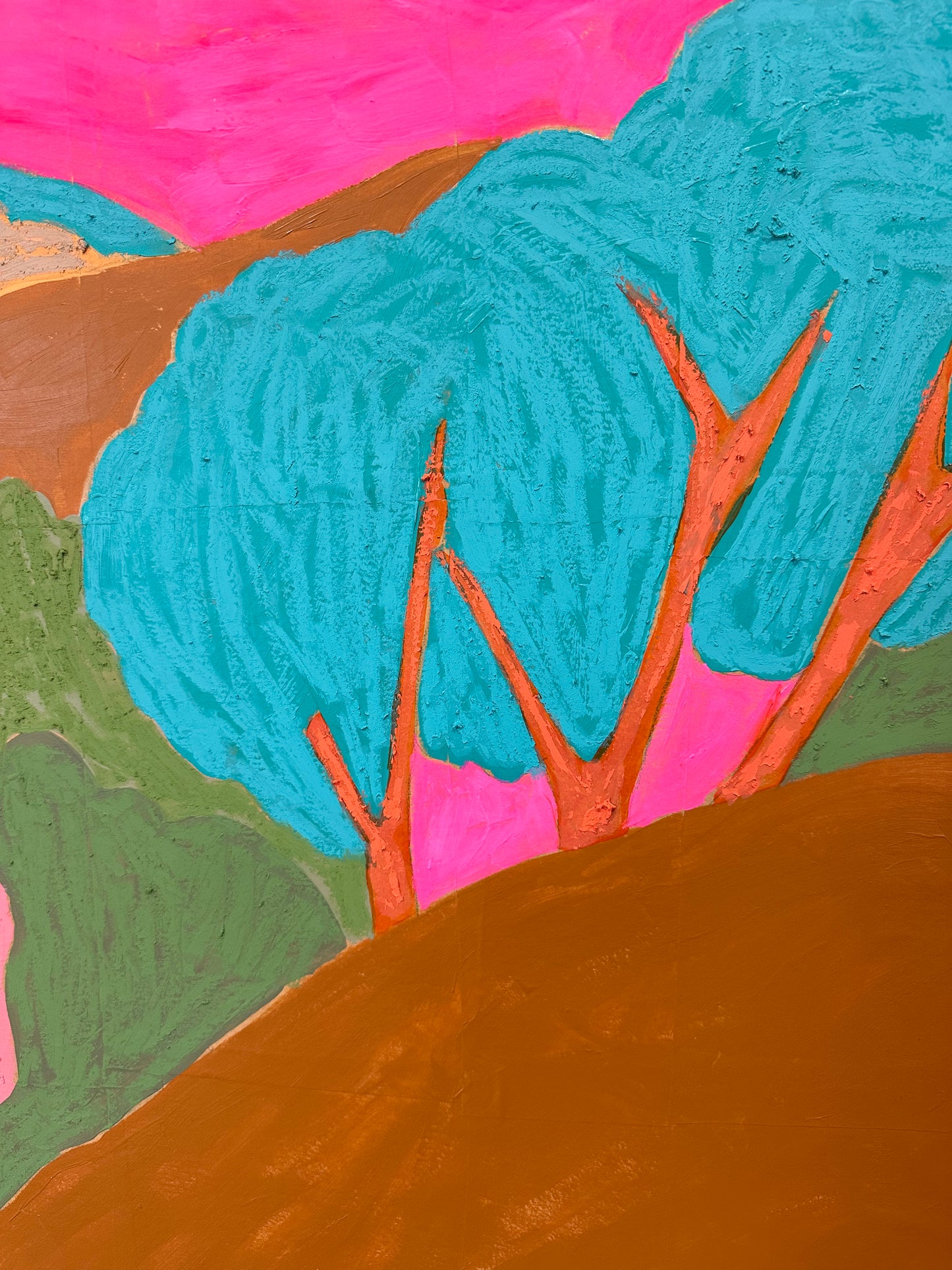 Landscape series-lower Molongolo view