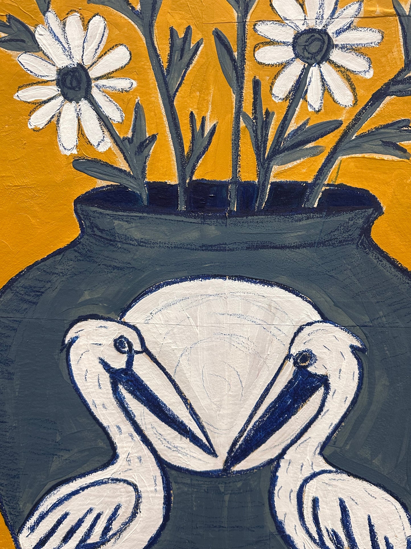 Pelicans and Daisies