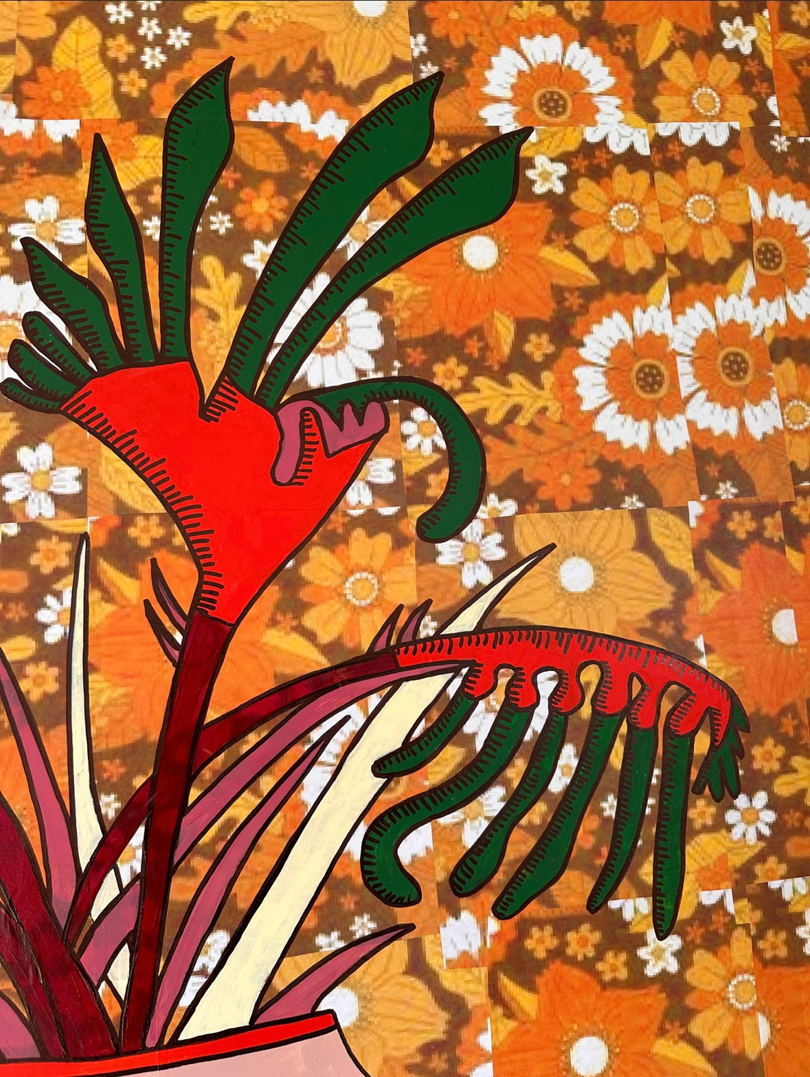 Kangaroo Paw in Zebra Finch Vase