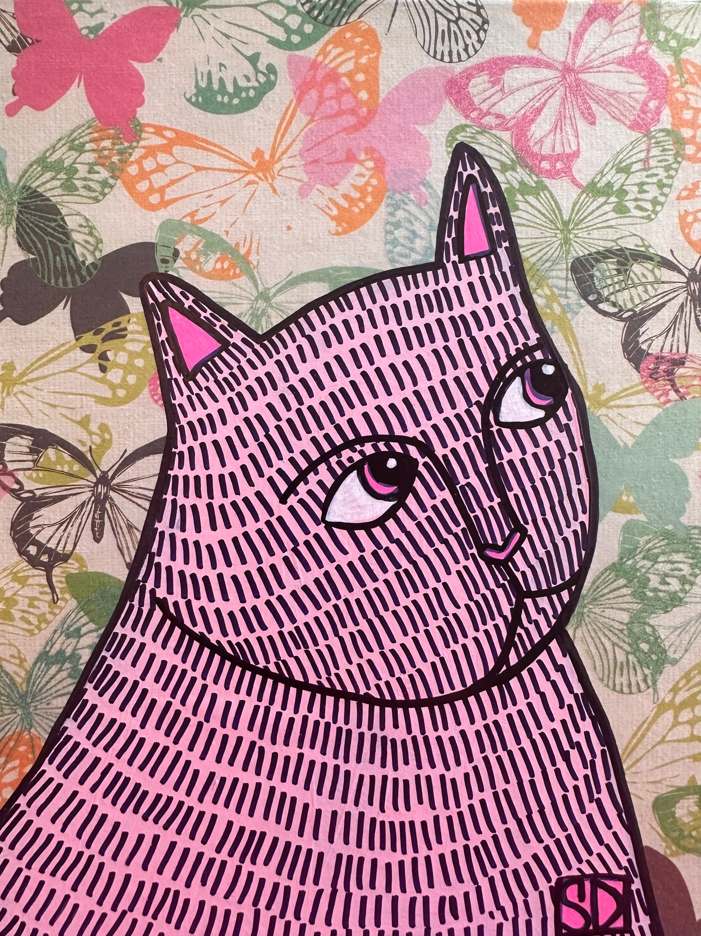 Cat in a box #19