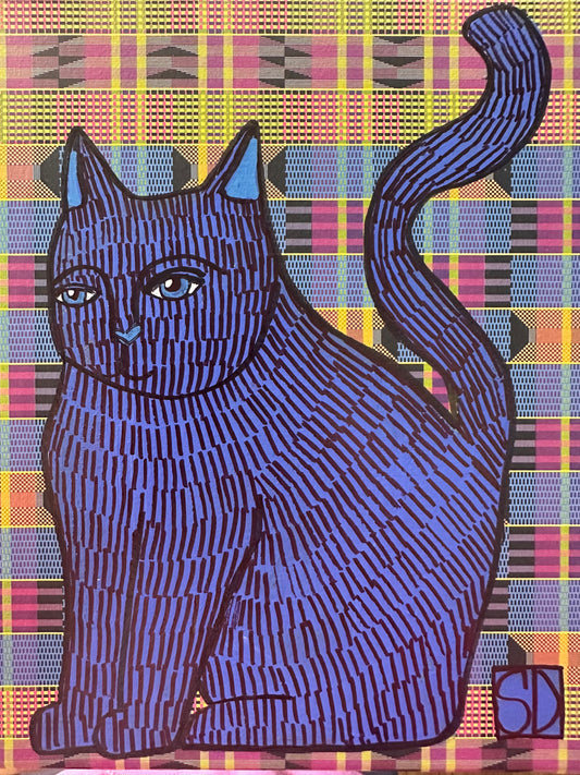 Cat in a box 14