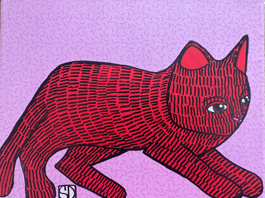 Cat in a box #4