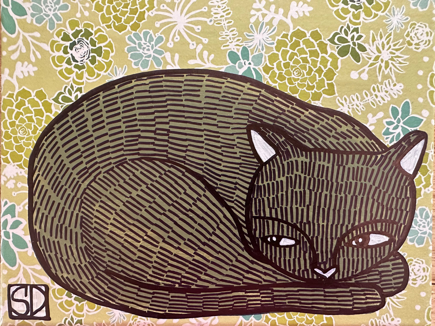 Cat in a box #8