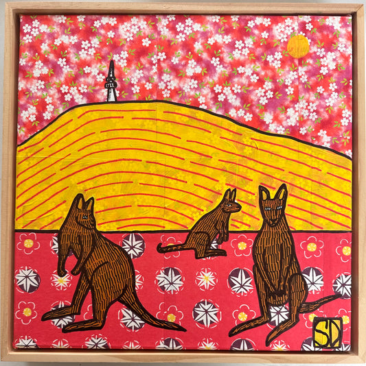 Canberra Kangaroo series #3