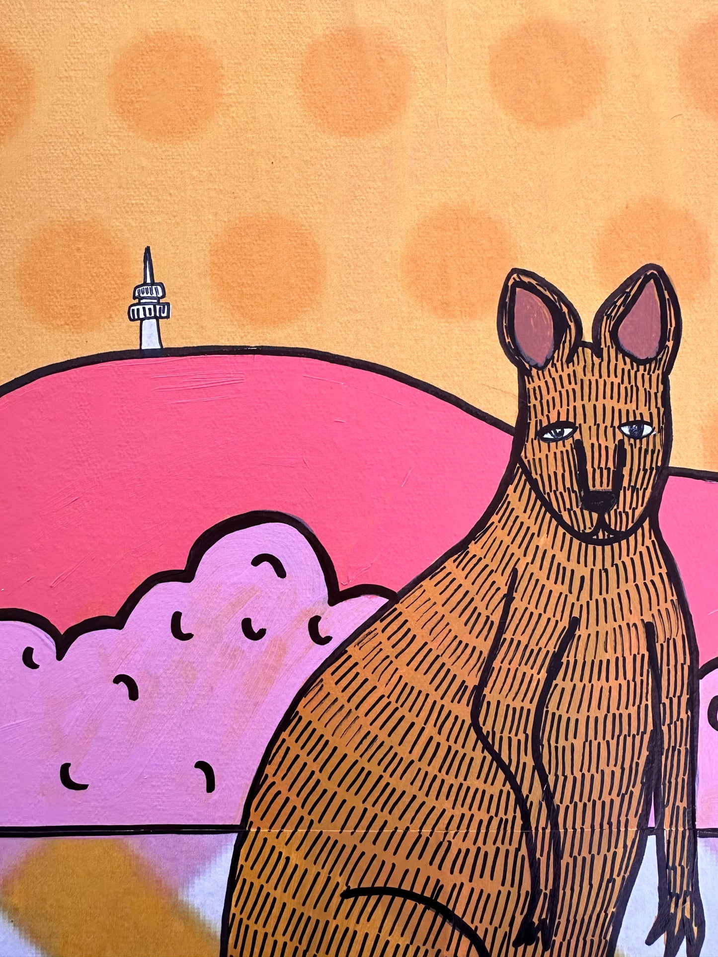 Canberra kangaroo series #7